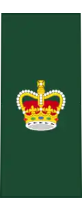 Insignia of a warrant officer