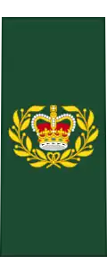 Insignia of a master warrant officer