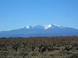 Canigó, 2004