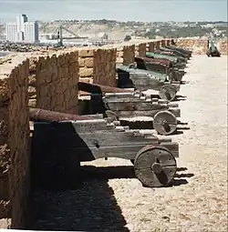 Fortress Cannons