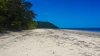 Cape Tribulation