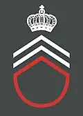 Caporal de corps / Korpskorporaal or korpsbrigadier