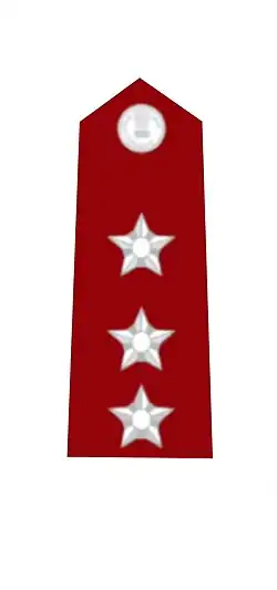 Insignia of Captain MNS