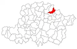 Location in Arad County