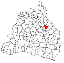 Location in Dolj County