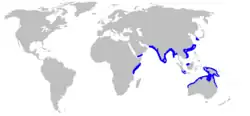 Hardnose shark geographic range