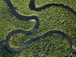 Cardamom Mountains