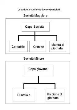 roles in Ndrangheta Hierarchy