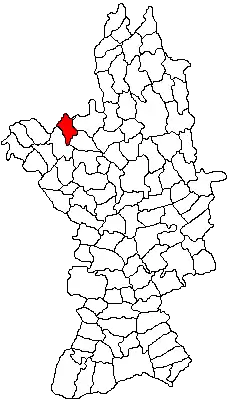 Location in Olt County