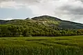 Carlton Bank from near Great Busby