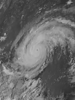 Black-and-white image of Hurricane Carmen near the Yucatán Peninsula