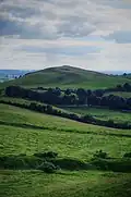 Carrickbrack