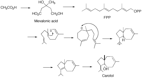 Proposed cyclization of FPP to Carotol.