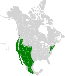 1968–1971