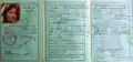 Identity cards for Chinda Nadanowski, her spouse and children.