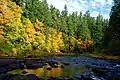 The South Santiam River at Cascadia County Park.