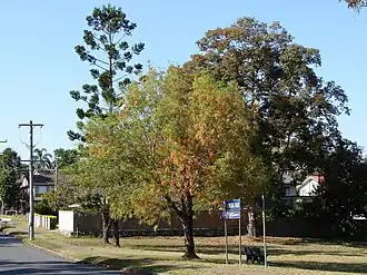 Jamboree Park in Guide Street, 2009