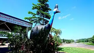 The Big Cassowary