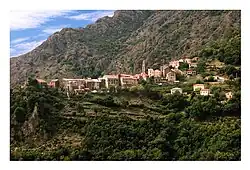 A general view of Castellare-di-Mercurio