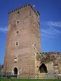 Château de Montaner, built by the Cagots, for Gaston III, Count of Foix.[165][166][167]