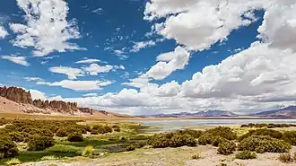 Tara Cathedrals (left) and Tara salt flat