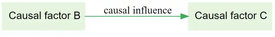 part of a causal map showing how Factor B causally influences Factor C