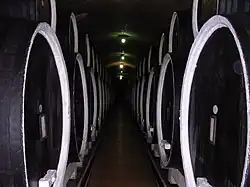 Wine cellar in Cotnari