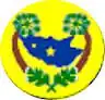 Official seal of Alto Santo