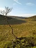Near Hunmanby