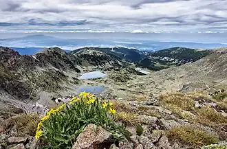 Central Rila Reserve