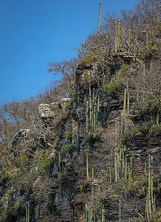 Habitat in Tuxtla Gutiérrez, Chiapas, Mexico