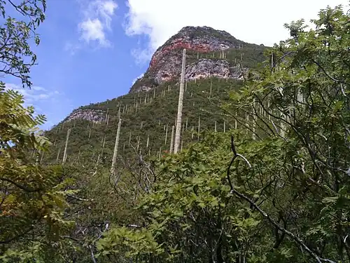 Habitat in San Marcos Arteaga, Oaxaca, Mexico