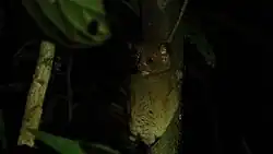 In darkness