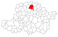 Location in Arad County