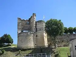 Ruins of the chateau