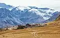 Animal Farm in the Altai Mountains