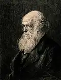 Portrait of Charles Darwin (c. 1880)
