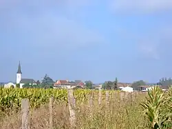 A general view of Charre