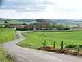 The Chartreuse du Pastissé