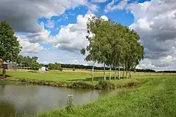 The moat
