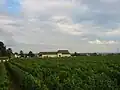 Chateau de Marsannay surrounded by vines