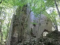 Chateau of Vaite