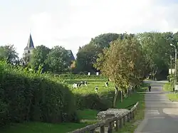 A general view of Wailly-Beaucamp