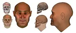 Chemurchek sanctuary Hulagash (Bayan-Ulgii aimag, Mongolia) Burial, forensic reconstruction of the skull, c. 2500 BCE