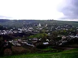 View of the village of Chesnyky from the Berezhany–Rohatyn road
