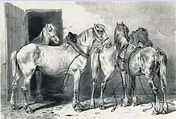 Engraving of four light-coated horses in a farm courtyard, partially harnessed for draft work.