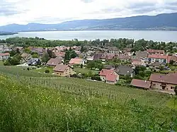 Cheyres village