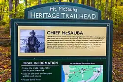 Description of Chief McSauba