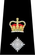 UK police chief superintendent epaulette