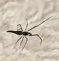 male from Hong Kong